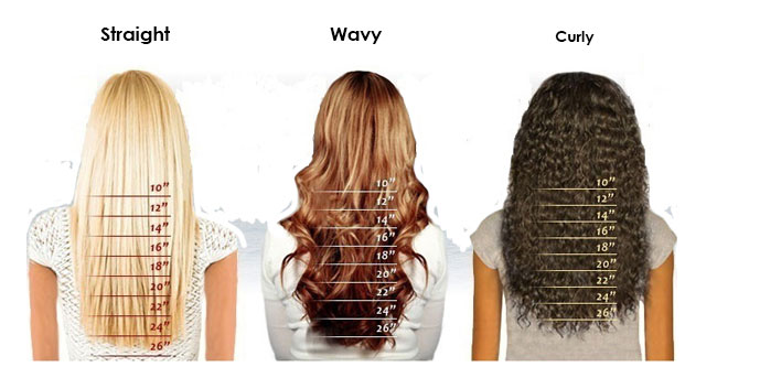 Premierlacewigs Hair Length Chart